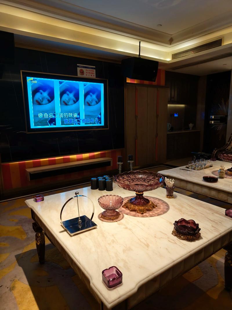 孝感商务KTv，尽享夜场魅力-云梦县ktv预订